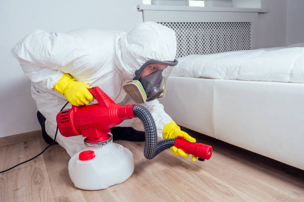 Real Estate Pest Inspections in Homestead, FL